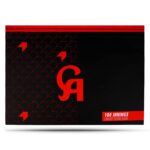 SCORE-BOOK (100 INNINGS)