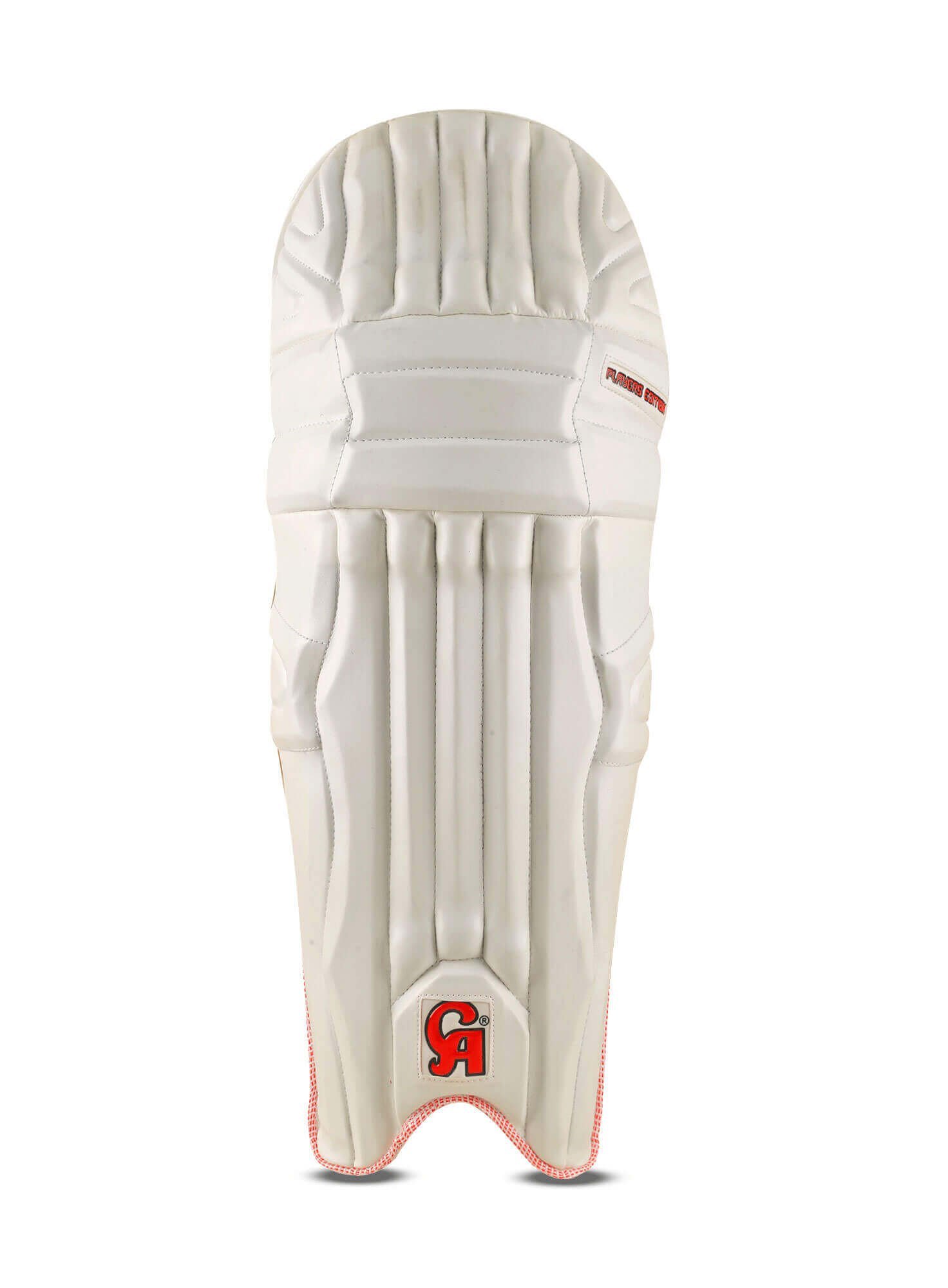 PRO 15000 (PE)