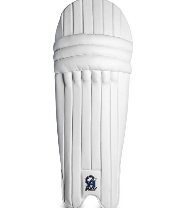 CA Pro 2000