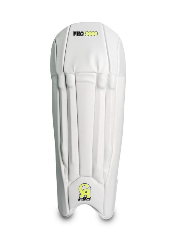 Pro 8000