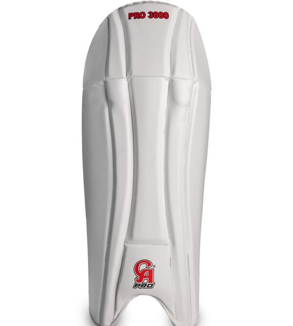 Pro 3000