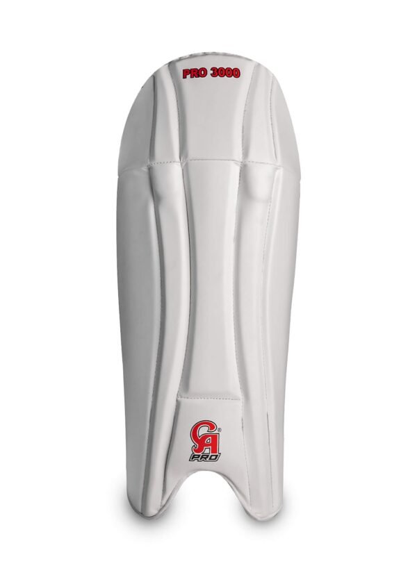 Pro 3000
