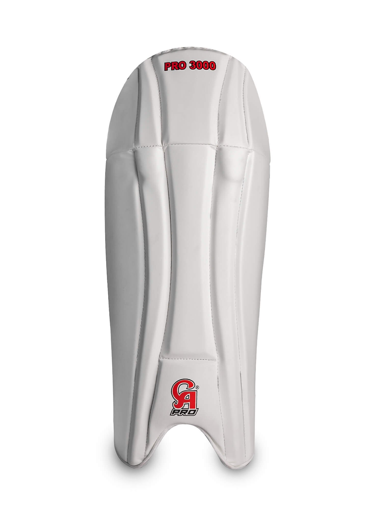 Pro 3000